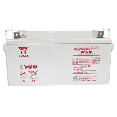 Yuasa NP65-12
