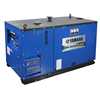 Mindong Honda EDL30000STE 3