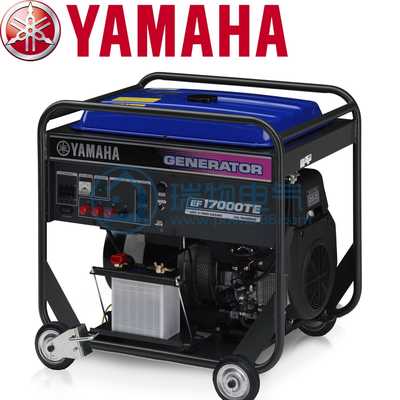 Yamaha EF17000TE