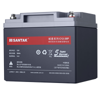 SANTAK C12-38P