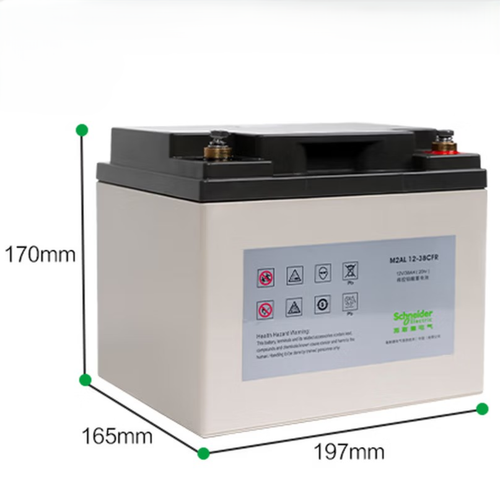 施耐德 M2AL12-38 CFR