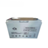 双登 6-GFM-100 1