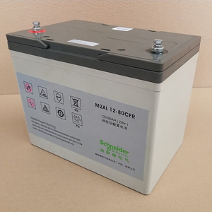 施耐德 M2AL12-80 CFR