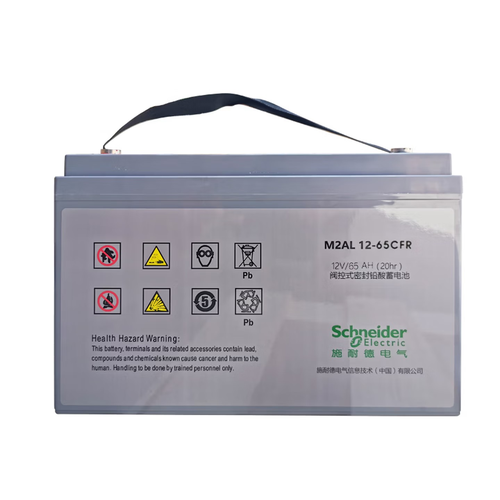 施耐德 M2AL12-65 CFR