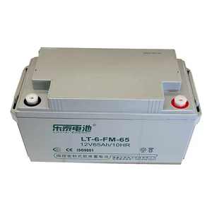 乐泰 LT-6-GFM-65