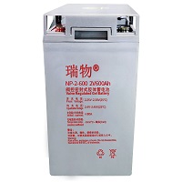 瑞物 RW-G-2-600P - 产品简介1