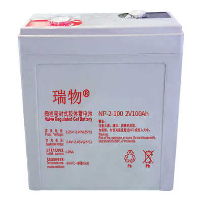 瑞物 RW-G-2-100P