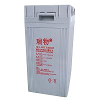 瑞物 RW-G-2-1000P - 产品简介1