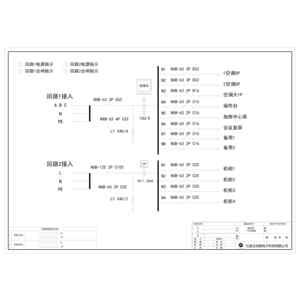 双路输入、双路输出 正泰 100A 12回路
