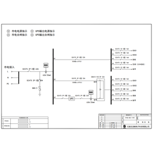 UPS综合配电柜 德力西 63A 2P 10回路 （衍）