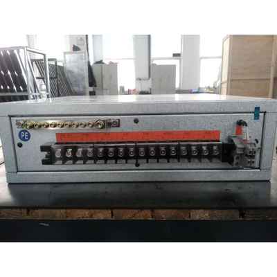 3U Distribution Unit Delixi 63A 2P Dual Circuit 5-Circuit