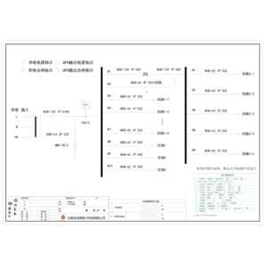 12U配电单元 正泰 100A 2P 双回路 10回路（衍）