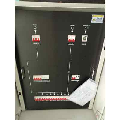 Dual Input , Dual Output Delixi 100A 12-Circuit