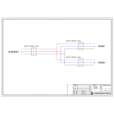 Schneider 100A DC Switch Cabinet 2 Battery String