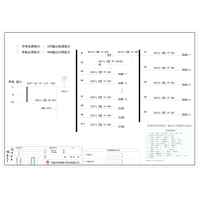 12U Distribution Unit Delixi 100A 2P Dual Circuit 10-Circuit (Variant) 1