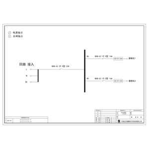 安防电源箱 正泰 32A 2回路