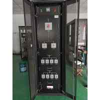 Input/Output Cabinet Double-sided Mounting Delixi 630A Dual Input / Dual Output total 13-Circuit 1