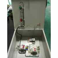 Security Power Box Delixi 32A 2-Circuit 1