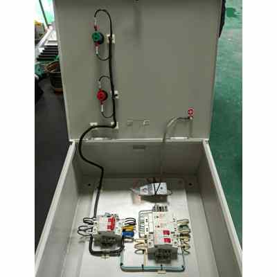 Security Power Box Delixi 32A 2-Circuit